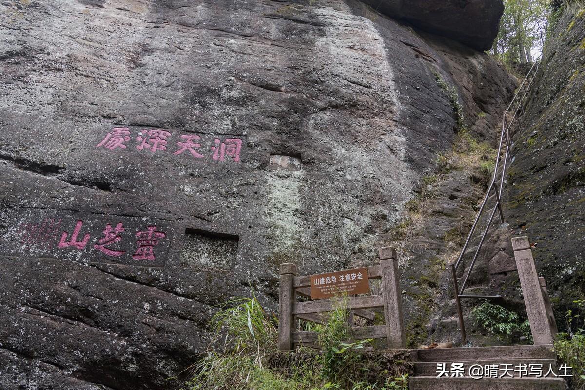 今晚上必开一肖,今晚上必开一肖，探索幸运之门背后的秘密