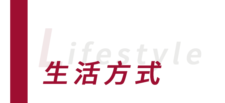 2024新澳资料免费精准,2024新澳资料免费精准，探索最新资源与信息的海洋