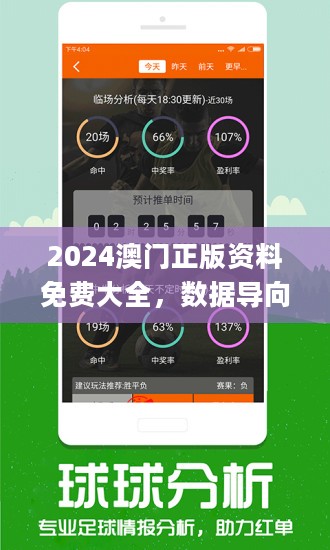 2024新奥资料免费49图库,探索未来资料宝库，新奥资料免费图库与它的价值