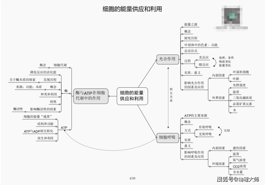 羊肠小道 第8页