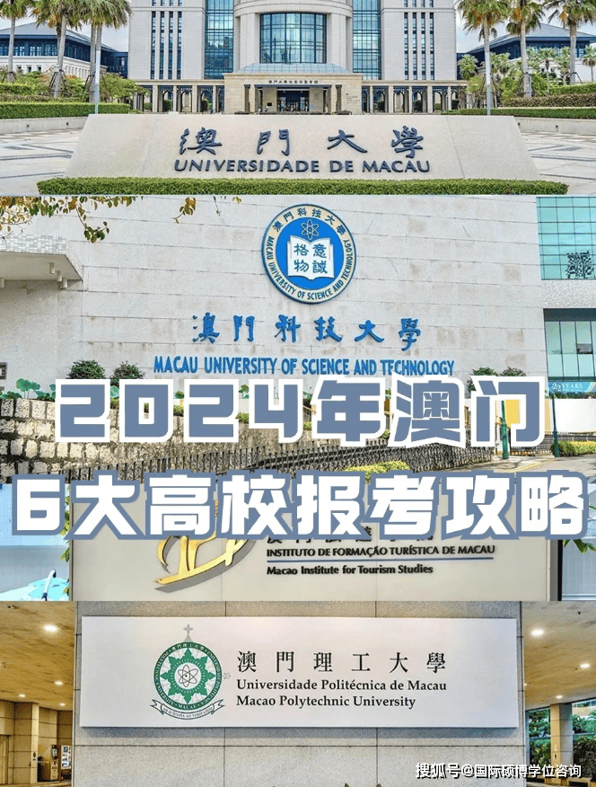 2024年新澳门天天开奖免费查询,揭秘澳门彩票，2024年新澳门天天开奖免费查询指南