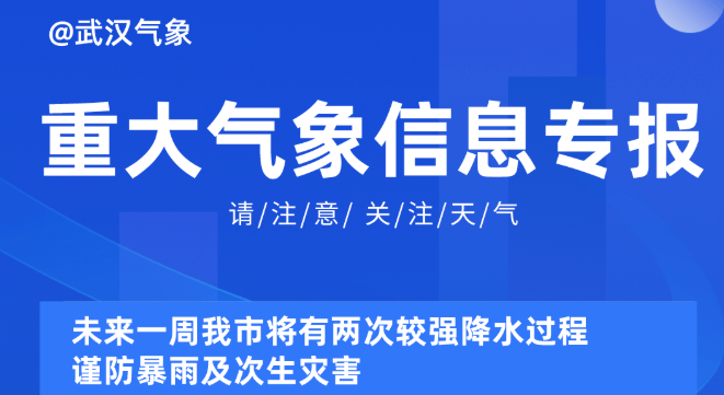 2025新奥资料免费精准,探索未来，免费获取精准新奥资料的指南到2025年