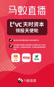 2025新澳门今晚开特马直播,澳门新气象，探索特马直播的魅力与机遇