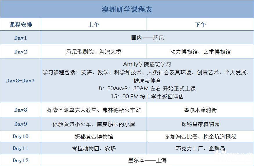 狗拿耗子 第4页