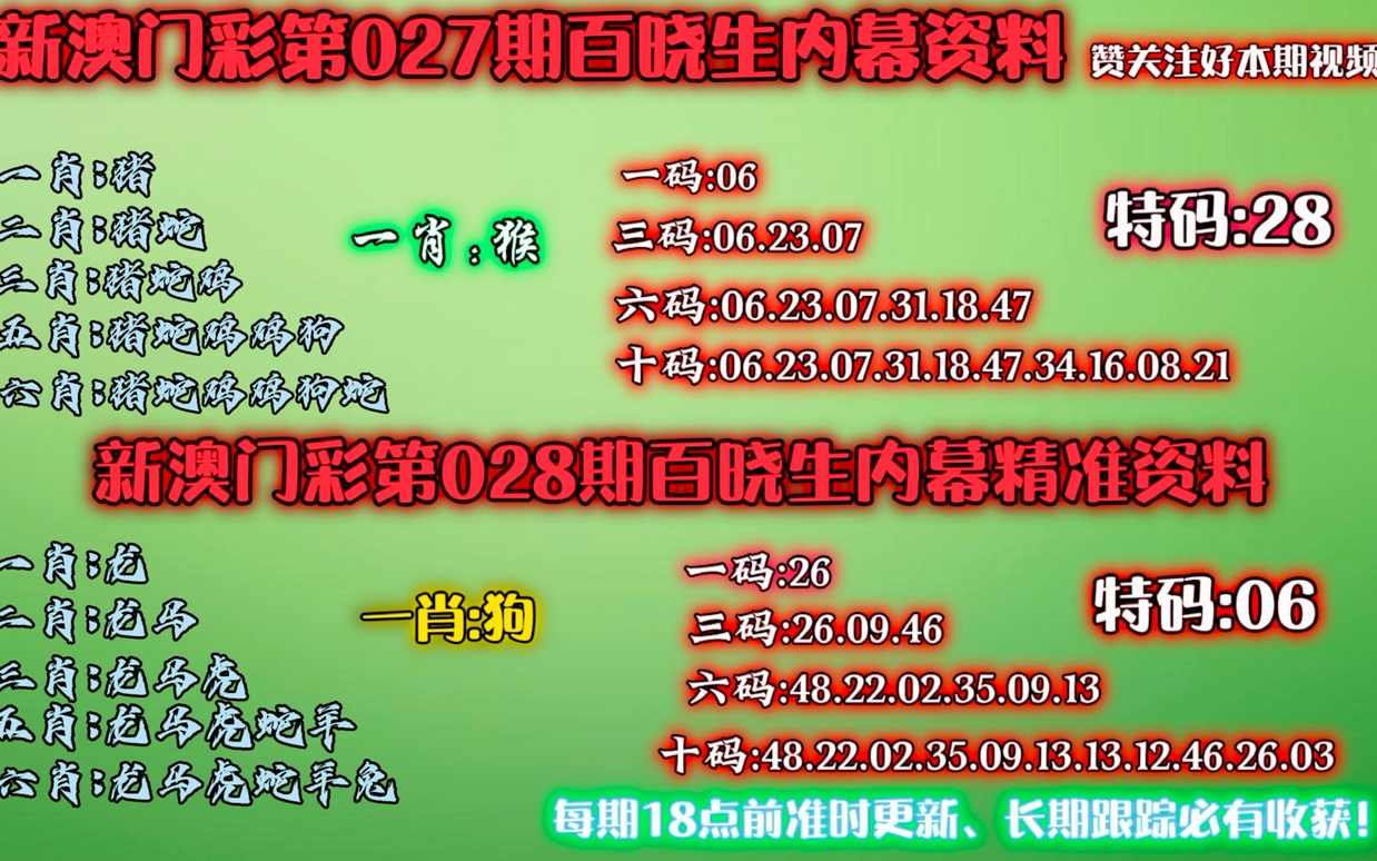 新澳门彩精准一码内,新澳门彩精准一码内的奥秘与探索