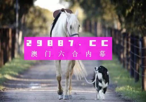 澳门马会7777788888,澳门马会，探索数字世界的神秘魅力与无限机遇