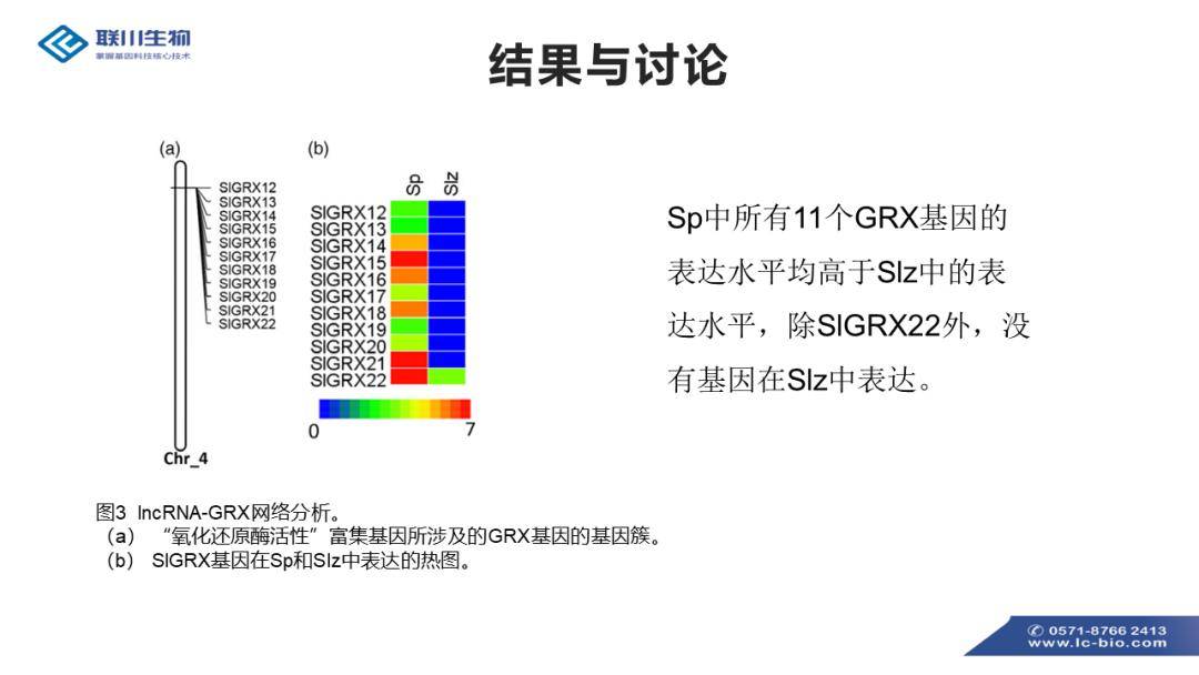 2025新澳资料免费精准051,探索未来，关于新澳资料的精准分析与免费共享展望至2025年（关键词，新澳资料、免费精准、精准分析）