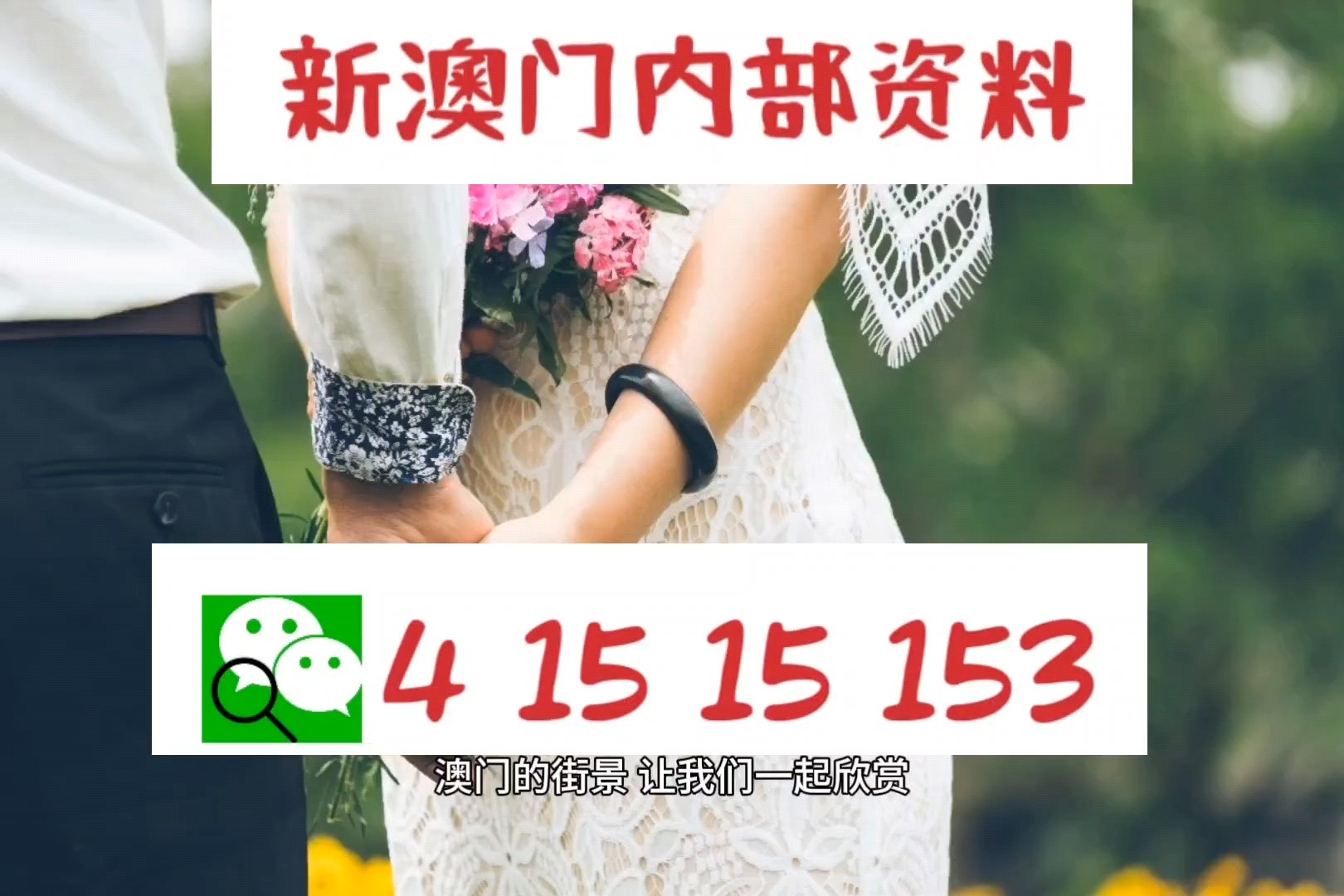 澳门最精准的资料免费公开104期 23-25-32-33-35-45Y：07,澳门最精准的资料免费公开第104期，揭秘数字背后的秘密与未来趋势分析